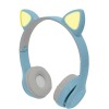 Akids Catto1